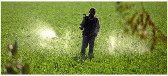 INDIAN FERTILISER SECTOR CRISIS: BURDEN OF SUBSIDIES AND OVER-REGULATION