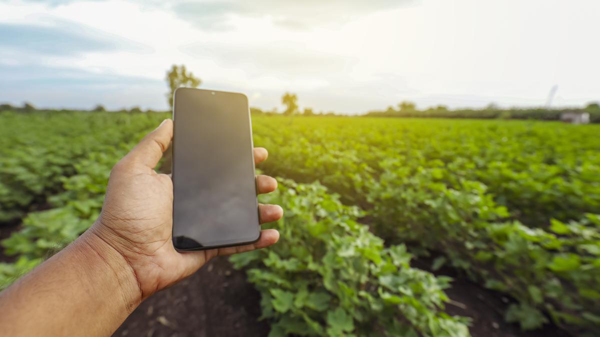 DIGITAL SURVEILLANCE IN WELFARE DELIVERY